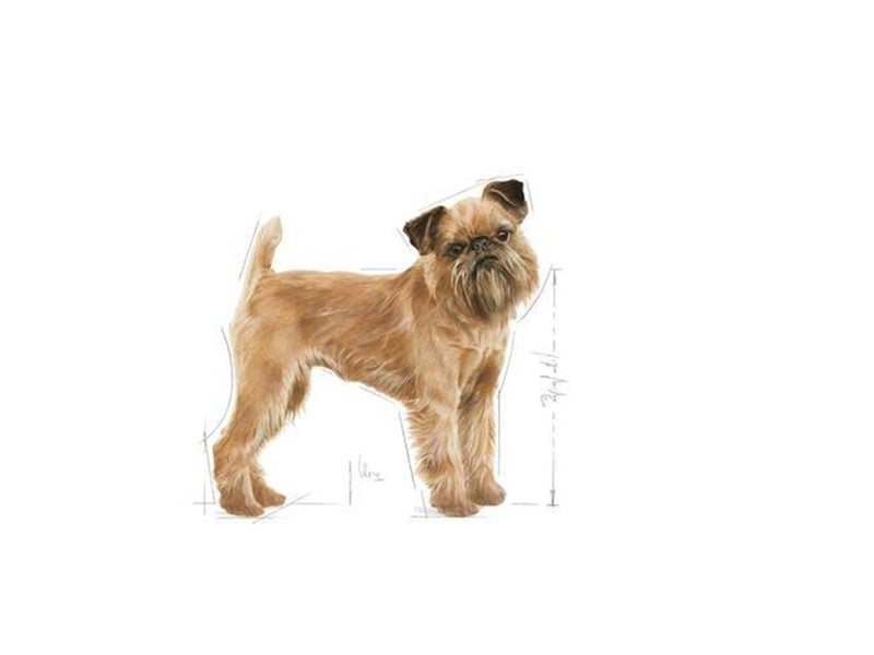 Royal Canin Mini Dental Care 3kg