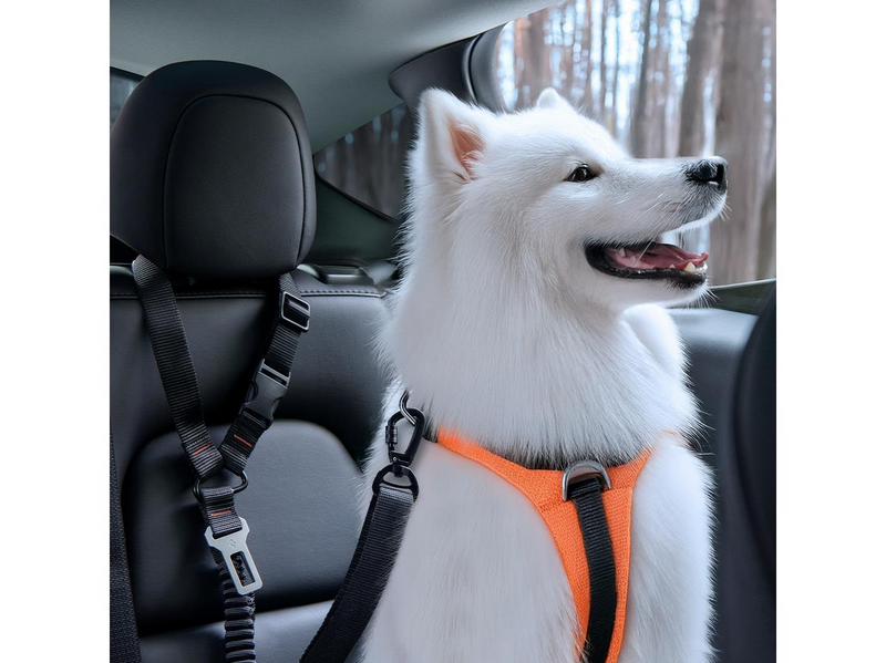 Spigen Universal Car Seat Belt Holder For Pet PS100 - black