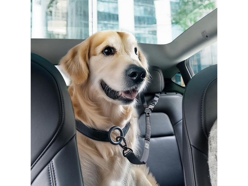 Spigen Universal Car Seat Belt Holder For Pet PS100 - black