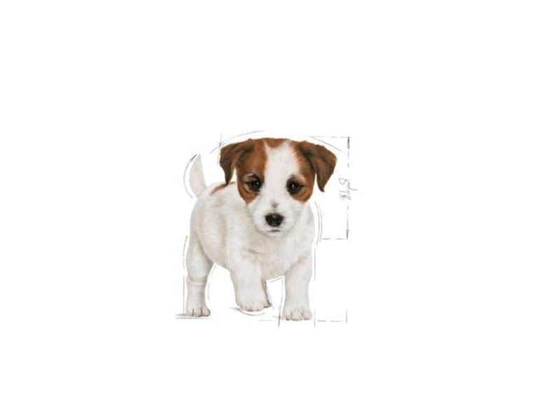 Royal Canin Mini Puppy 8kg