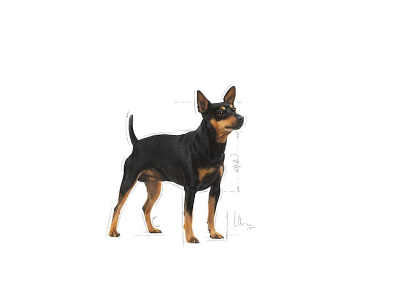 Royal Canin Mini Digestive Care 3kg