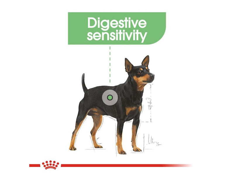 Royal Canin Mini Digestive Care 3kg