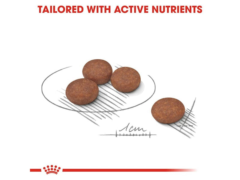 Royal Canin Mini Digestive Care 3kg