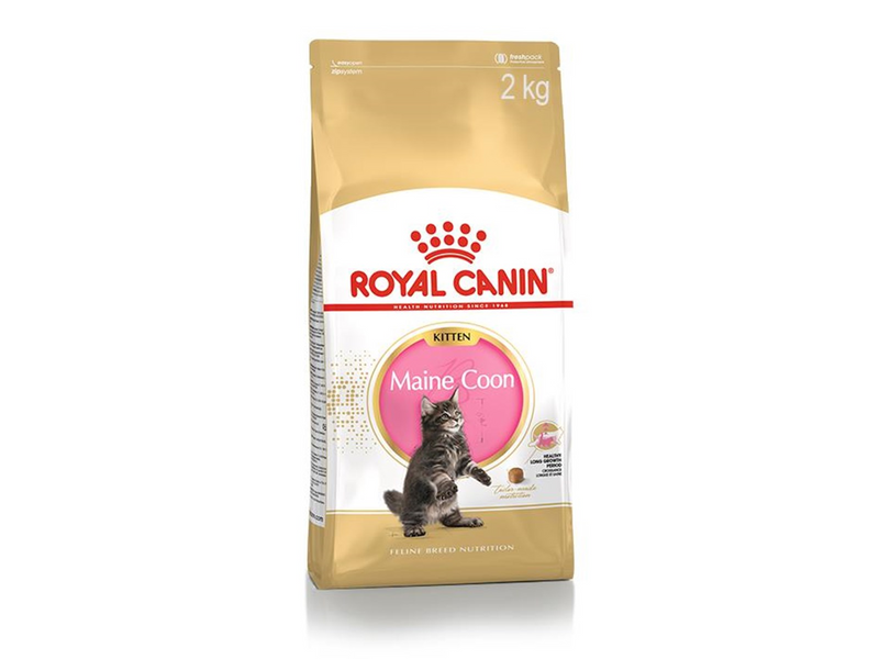 Royal Canin Maine Coon Kitten 2kg