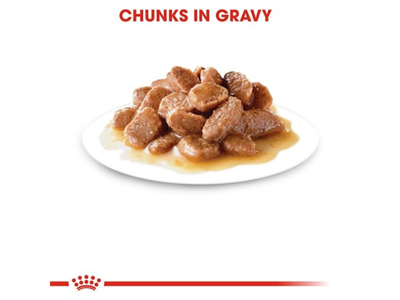 Royal Canin Digest Sensitive in Gravy 85g (12-Pack)