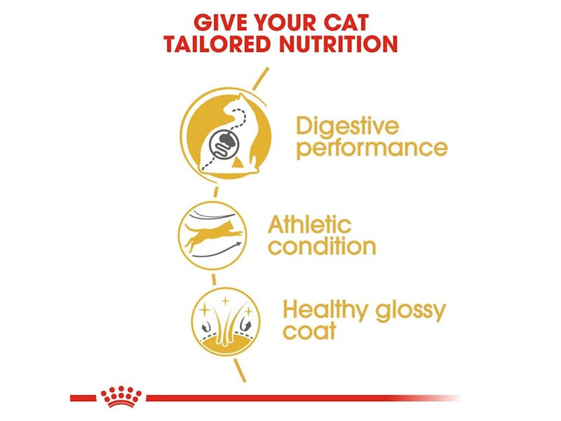 Royal Canin Bengal Adult 10kg