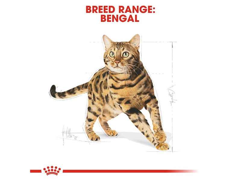 Royal Canin Bengal Adult 10kg