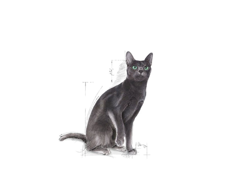 Royal Canin Sterilised 37 2kg