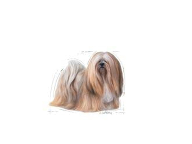 Royal Canin Mini Exigent 3kg
