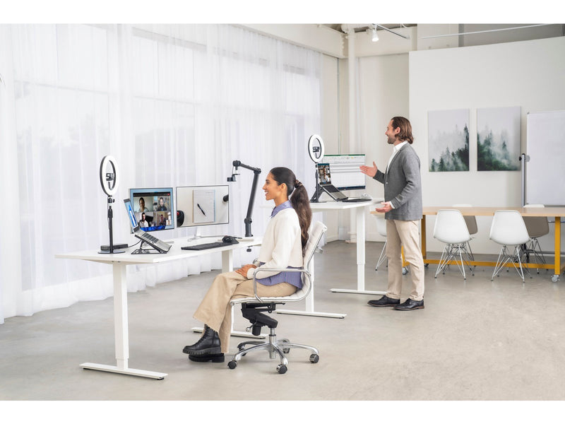 Kensington A1010 Telescoping Desk Stand