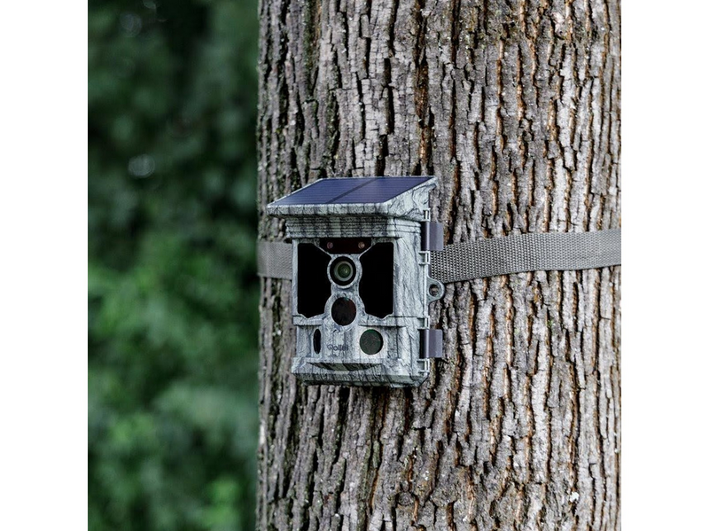 Rollei Wildcamera 4K WiFi Solar