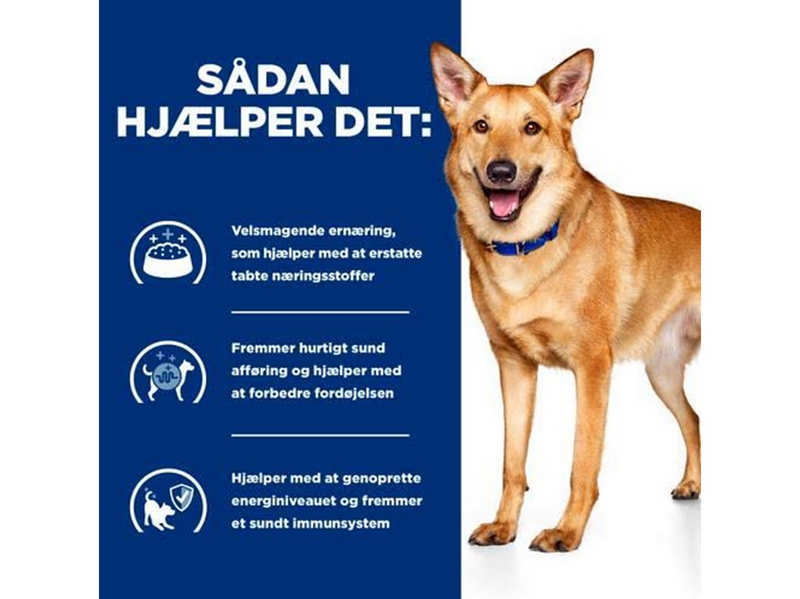 Hill's Prescription Diet Canine Digestive Care i/d - dry dog food - 4 kg