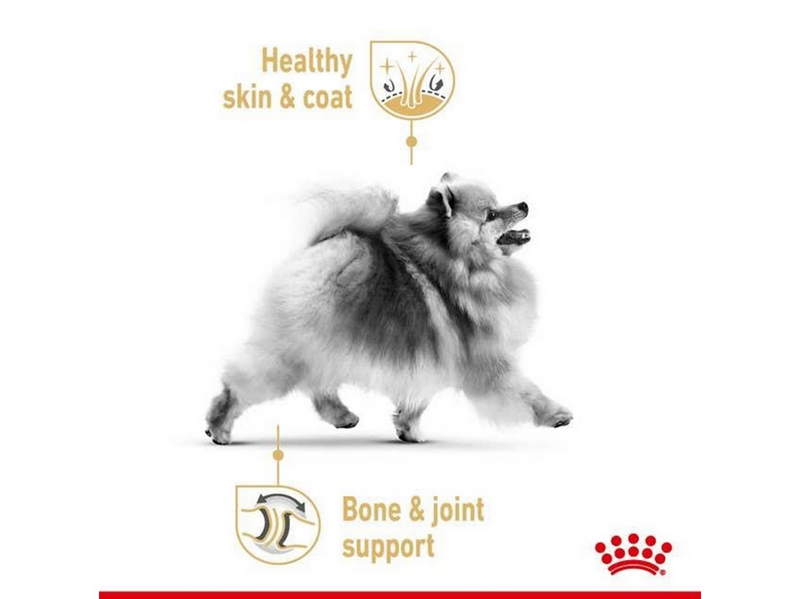 Royal Canin Pomeranian Adult - dry food for dogs - 3 kg