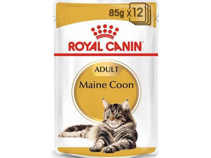 Royal Canin FBN Maine Coon - Cat wet food - sachet 12x 85g