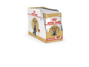 Royal Canin British Shorthair packet 12x85g