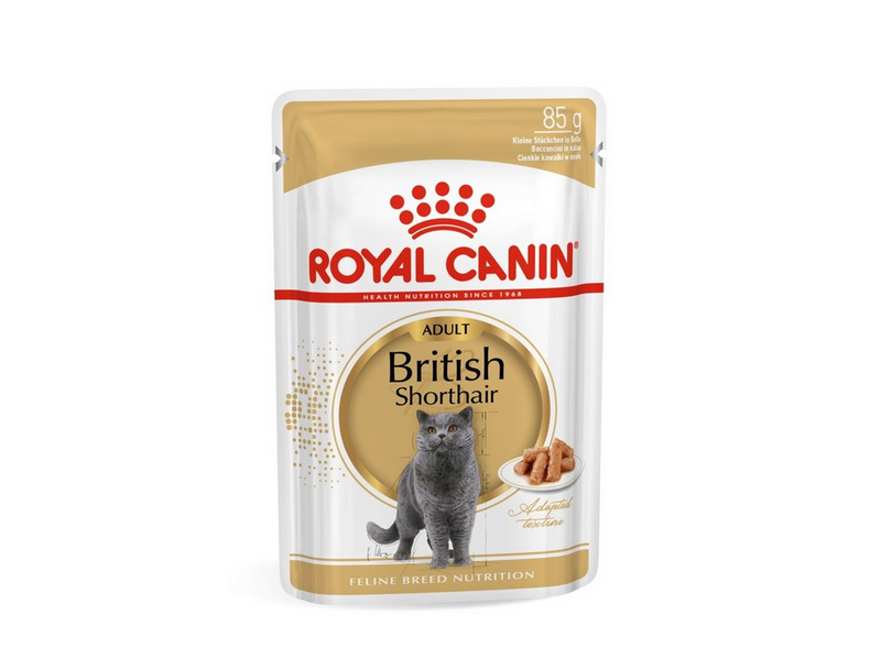 Royal Canin British Shorthair packet 12x85g