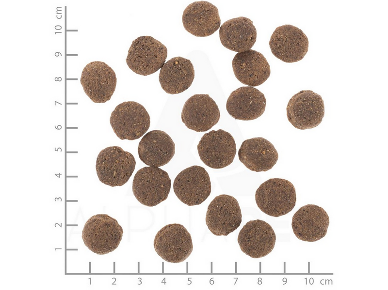 Wolfsblut VetLine Hypoallergenic Horse - dry dog food - 12kg
