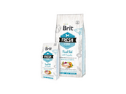 Brit Fresh Fish with Pumpkin Adult Large Muscles & Joints