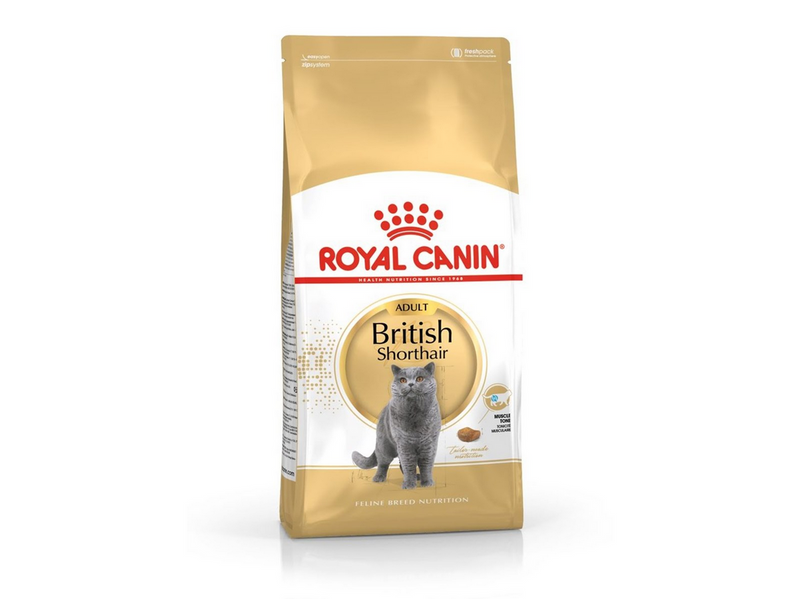 Royal Canin FBN British Shorthair Adult dry cat food - 10 kg