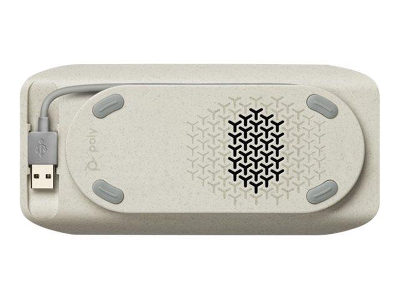 Poly Sync 10
