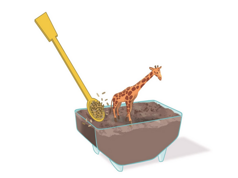 Clementoni Mini Terrarium Giraffe