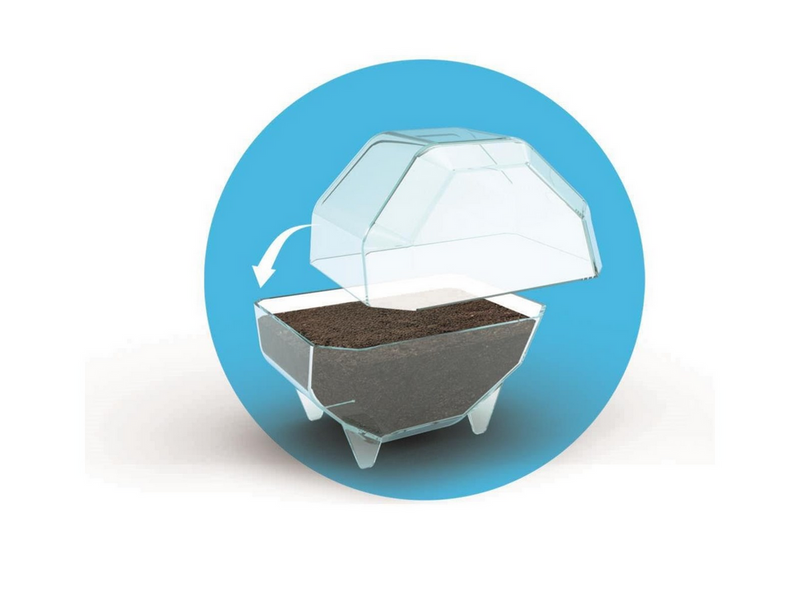 Clementoni Mini Terrarium Bear