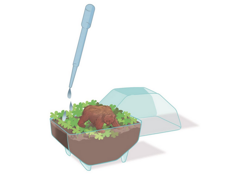 Clementoni Mini Terrarium Bear