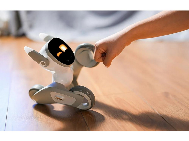 Loona Premium Interactive Robot