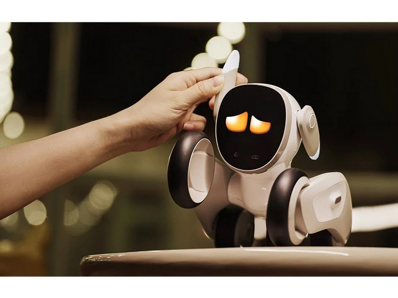 Loona Premium Interactive Robot