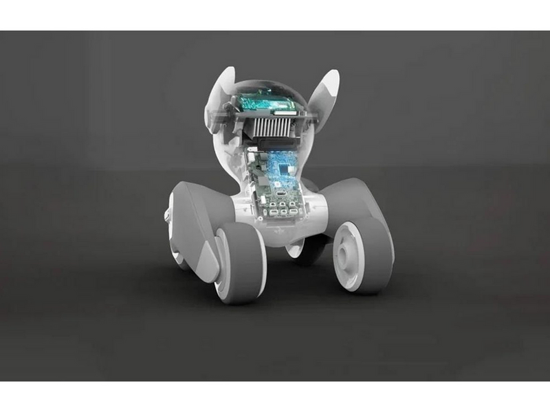 Loona Premium Interactive Robot