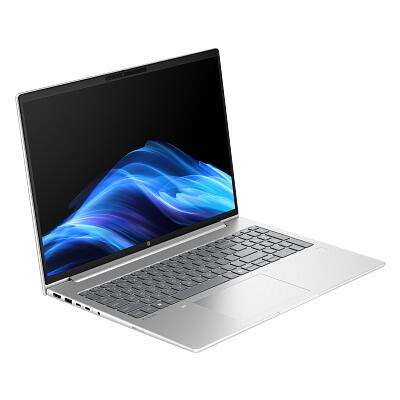 HP ProBook 4 G1a AMD Ryzen™ 7 250 Notebook AI 40.6 cm (16')