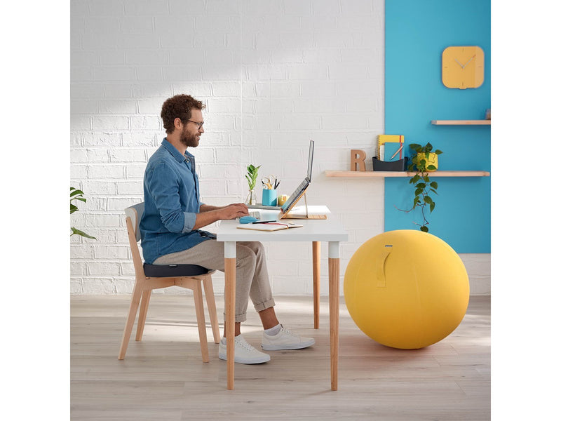 Leitz  Ergo Cosy Sitzkissen Samtgrau