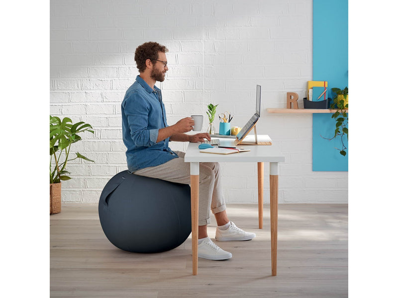 Leitz  Ergo Cosy Active Sitzball für aktives Sitzen Samtgrau