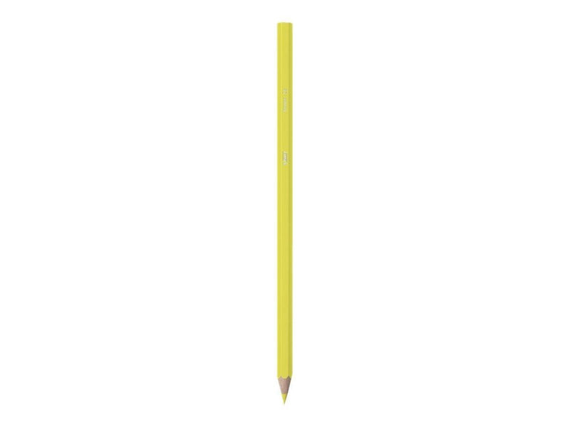 BIC KiDS Tropicolors