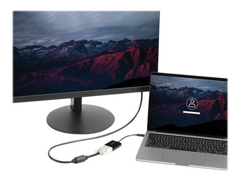 StarTech.com USB C to DVI Adapter ekstern videoadapter