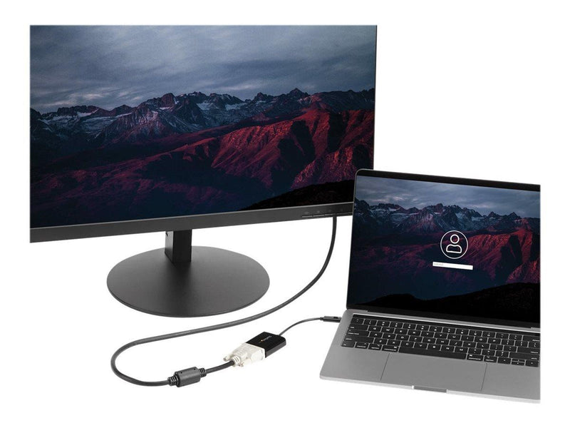 StarTech.com USB C to DVI Adapter ekstern videoadapter
