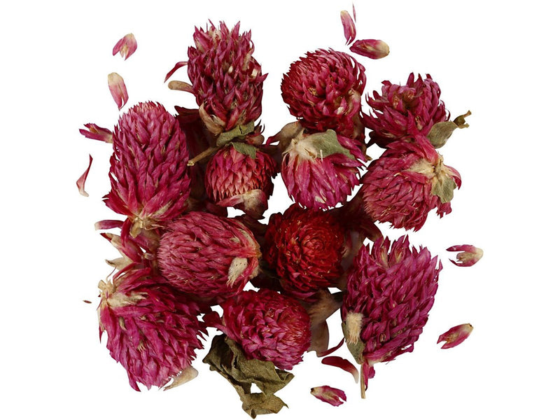 Creativ Company Dried Flowers Red Clover Purple 15gr