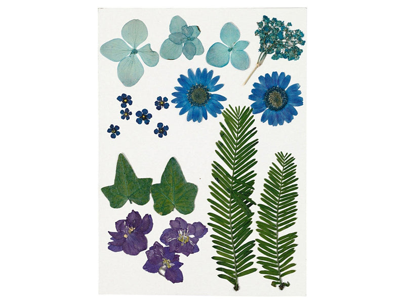 Creativ Company Dried Flowers and Leaves Blue 19 pcs.