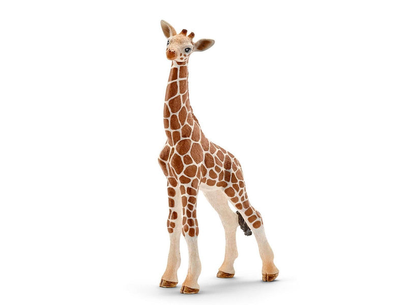 Schleich Giraffe calf