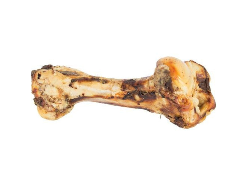 Eldorado Jurassic bone