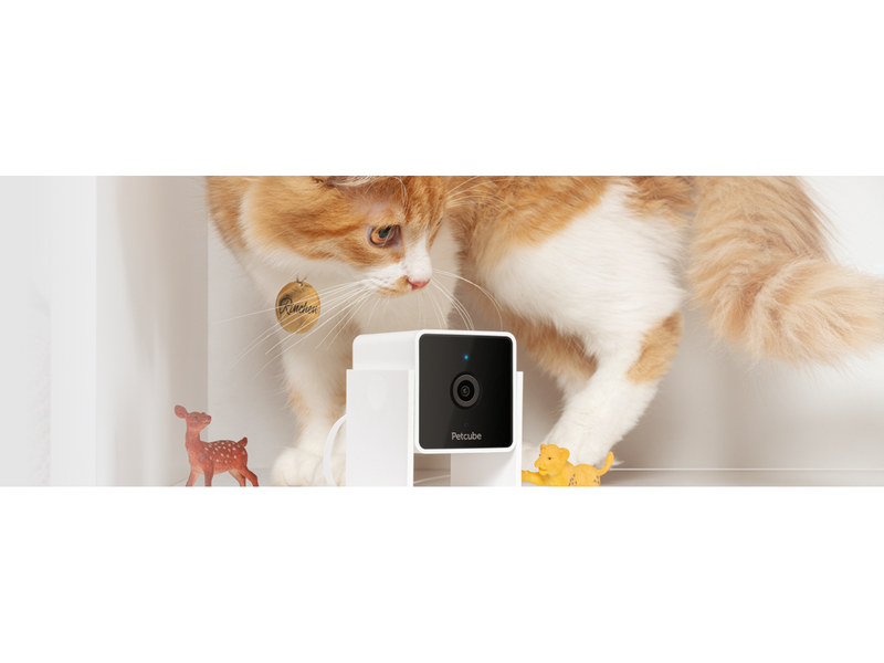 Petcube Pet Camera