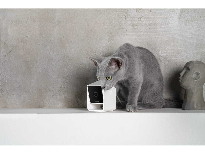 Petcube Pet Camera