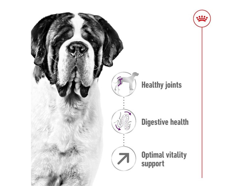 Royal Canin Giant Adult 15kg