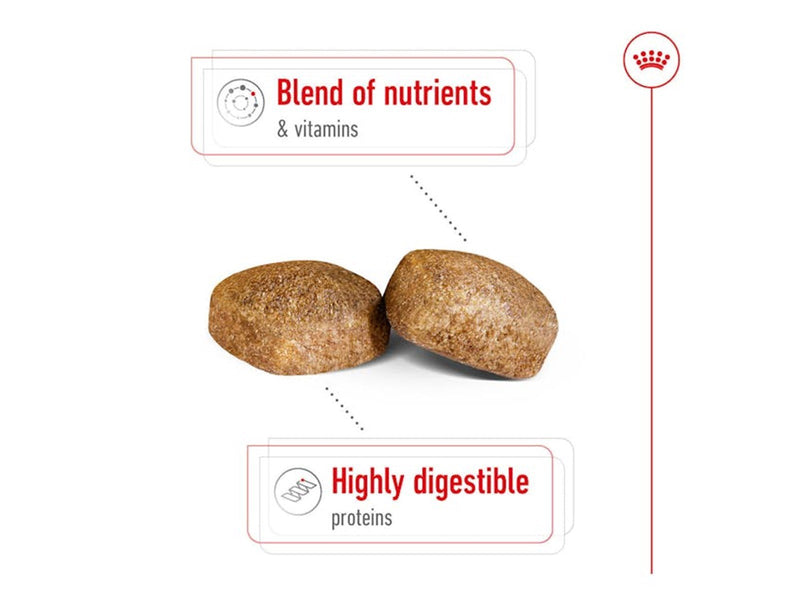 Royal Canin Giant Adult 15kg