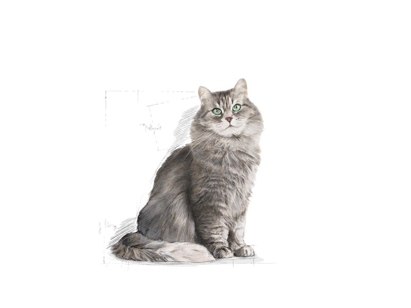 Royal Canin Sensible 33 10kg