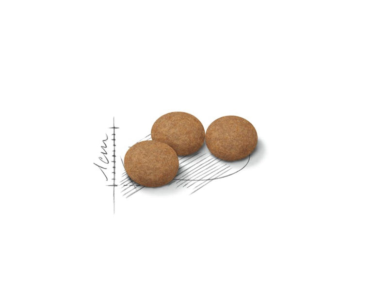 Royal Canin Sterilised Ageing 12+ 4kg