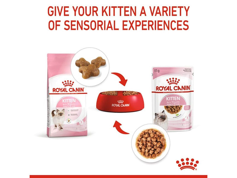 Royal Canin Kitten 10kg