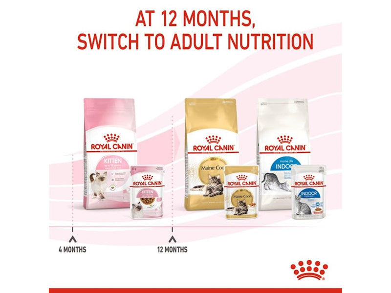 Royal Canin Kitten 10kg