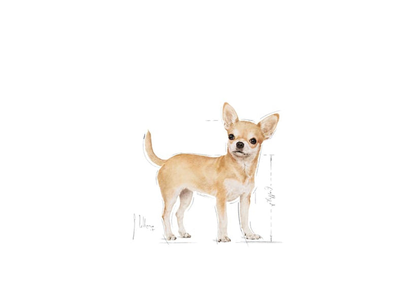 Royal Canin Chihuahua Adult 1.5kg