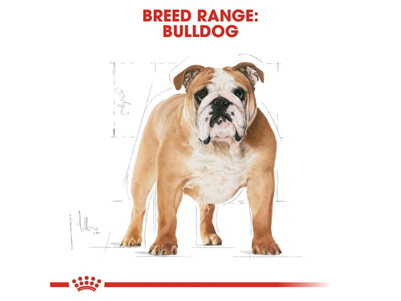 Royal Canin Bulldog Adult 12kg